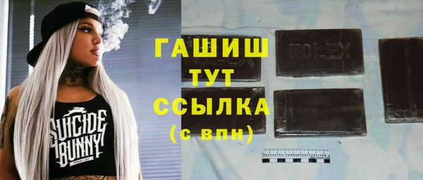 хмурый Бикин