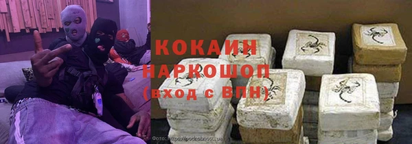 сатива Новодвинск