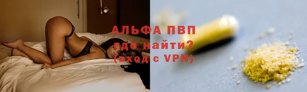 spice Ладушкин
