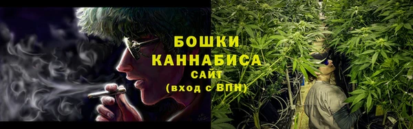 сатива Новодвинск