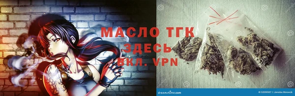 сатива Новодвинск