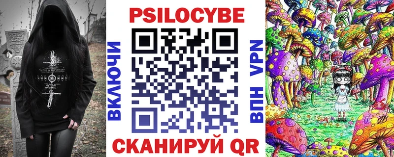 Галлюциногенные грибы Psilocybe Красновишерск